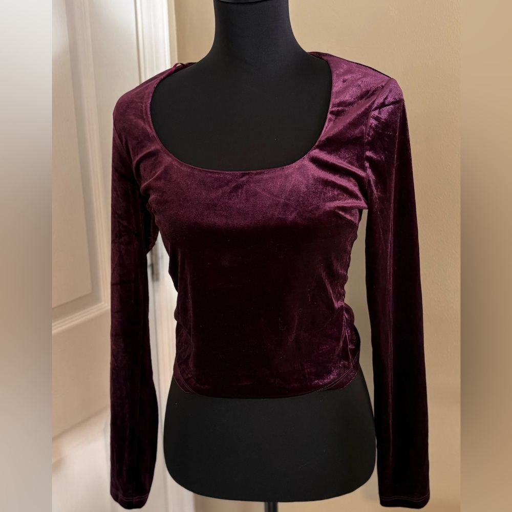 Astr Velvet Crop Top - Eggplant color